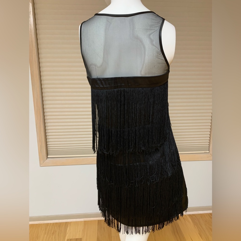 Limited Edition Black fringe flapper dress. Size S. Like New - Picture 2 of 8
